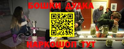 a pvp Славгород